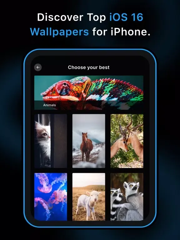 تصاویر Wallpapers - OS 16 Backgrounds iPad 