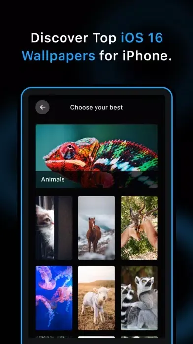 تصاویر Wallpapers - OS 16 Backgrounds
