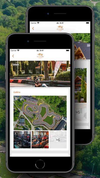 Screenshot di MyAvalon