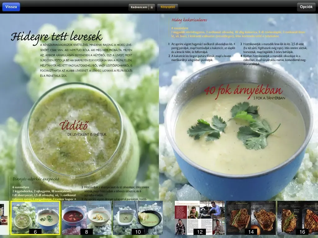 Скриншоты TV Paprika Magazin iPad 
