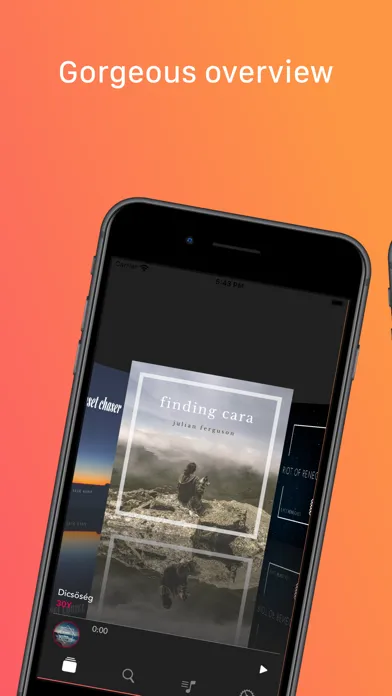 Album Flow Pro Ekran Görüntüleri