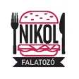 Nikol Falatozó