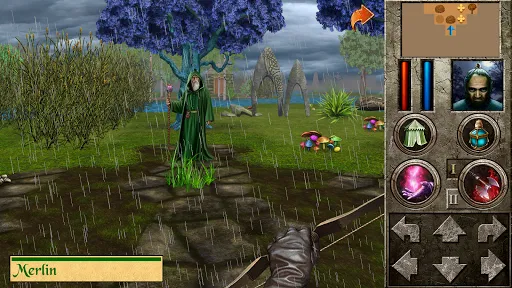 The Quest - Celtic Rift Ekran Görüntüleri