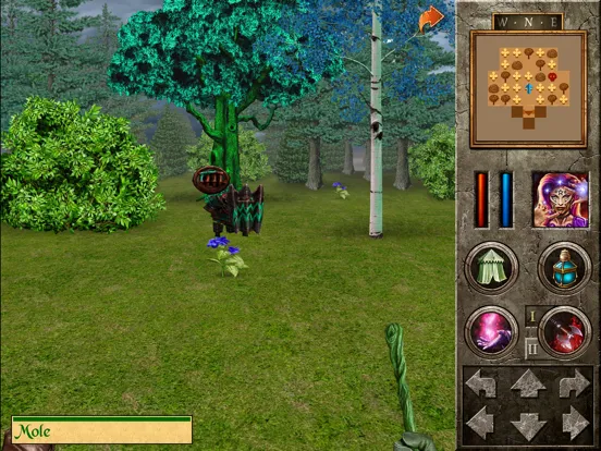 The Quest - Hero of Lukomorye4 iPad  Screenshots