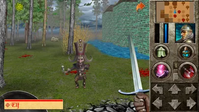The Quest - Hero of Lukomorye4 Screenshots