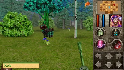 The Quest - Hero of Lukomorye4 Screenshots
