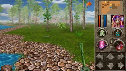 The Quest - Hero of Lukomorye Ekran Görüntüleri