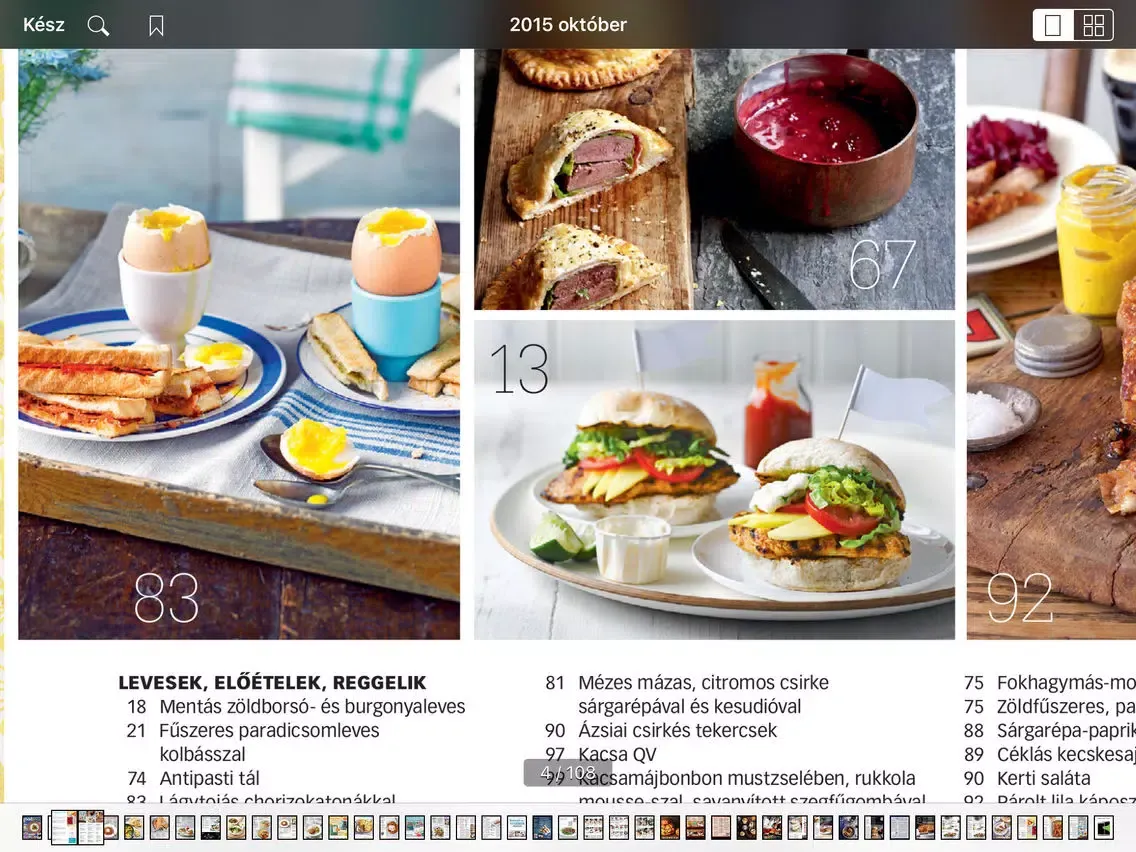 تصاویر GoodFood Világkonyha iPad 