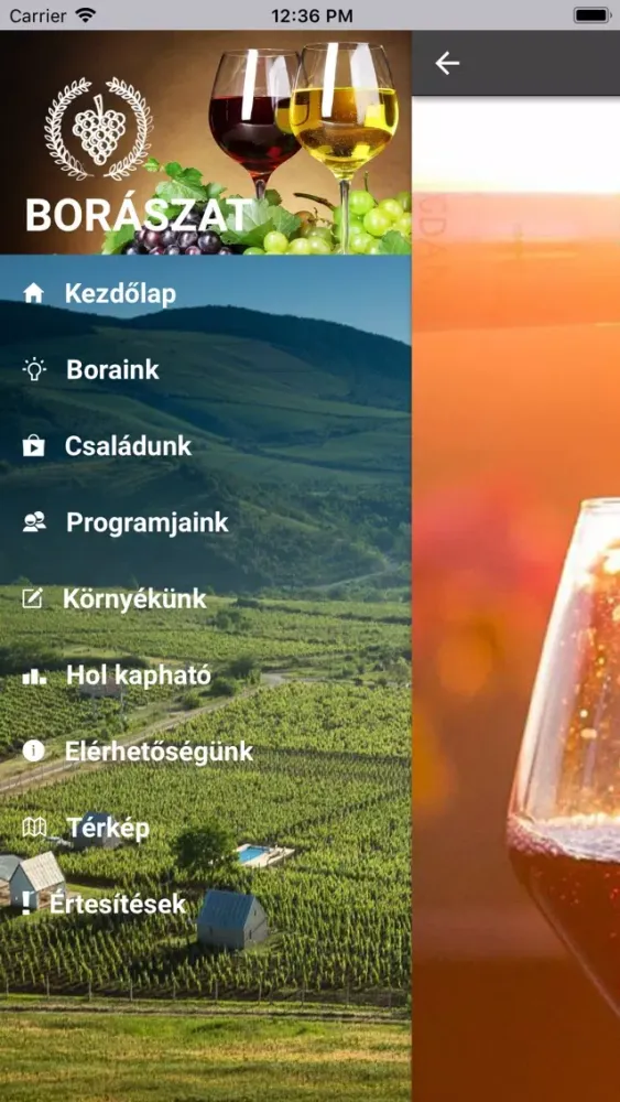 Screenshot di UniBor