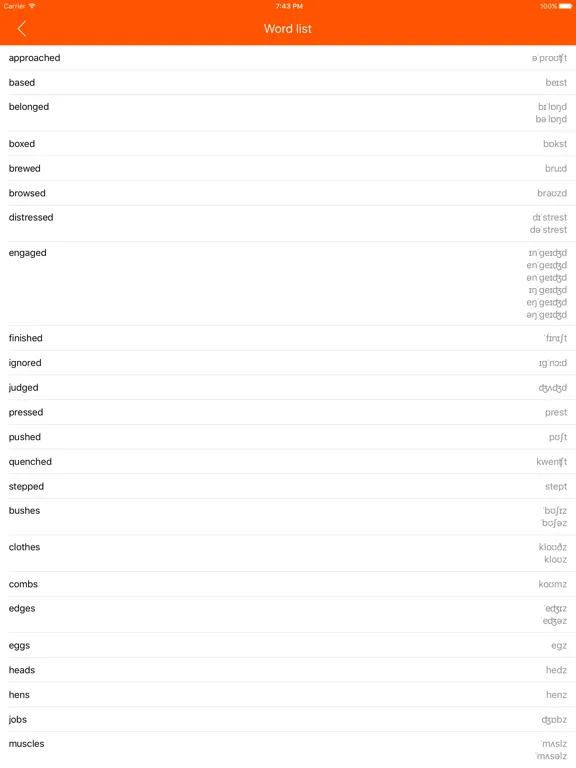 صور PhonoLogic iPad 