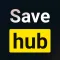 Hub Video Downloader