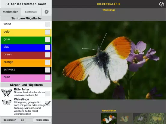 sCHmetterling iPad  Screenshots