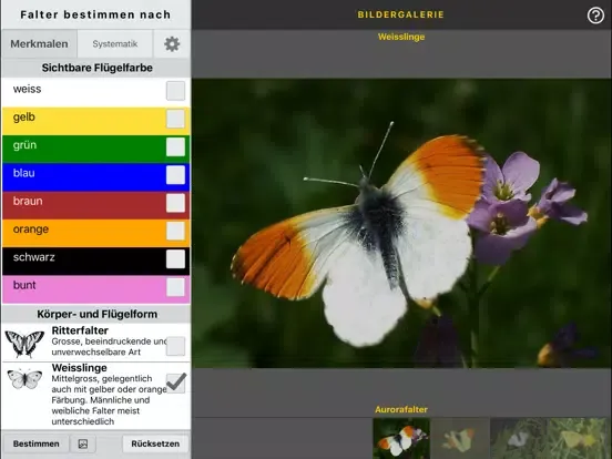 sCHmetterling iPad  स्क्रीनशॉट