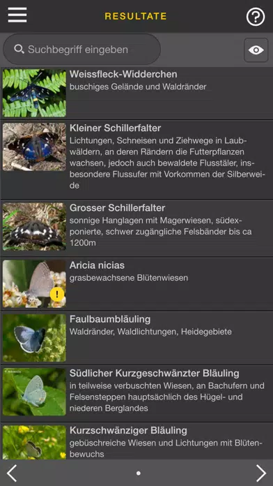 sCHmetterling Screenshots