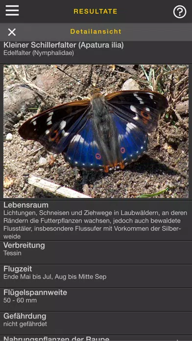 sCHmetterling Screenshots
