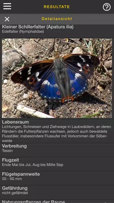 sCHmetterling स्क्रीनशॉट