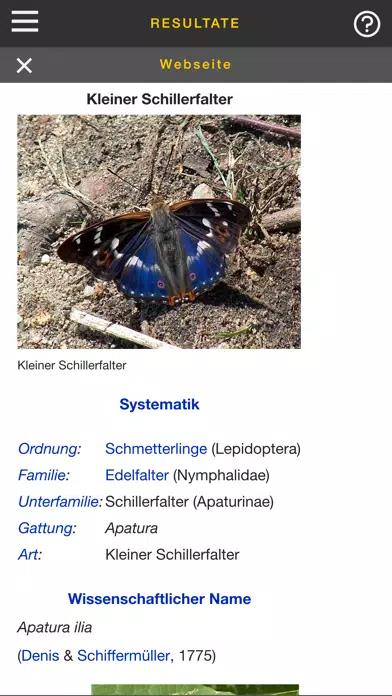 sCHmetterling Screenshots