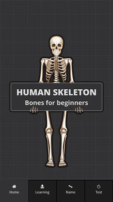 Human Skeleton: Bones for beginners Screenshots