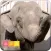 i動物園 for 池田動物園