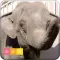 i動物園 for 池田動物園