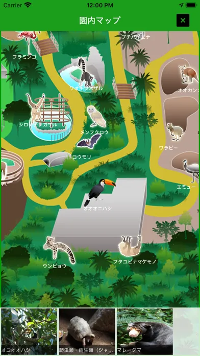 Screenshot di i 動物園 for のいち動物公園
