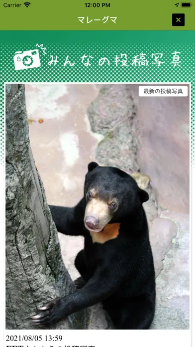 Screenshot di i 動物園 for のいち動物公園