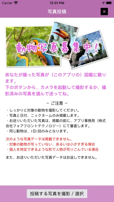 Screenshot di i 動物園 for のいち動物公園