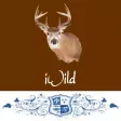 iWild
