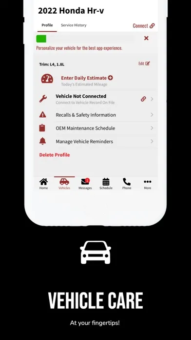 Tangkapan skrin Strother Brothers Auto Care