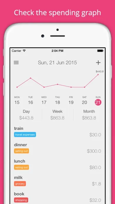 Spends - pocket money book应用截图