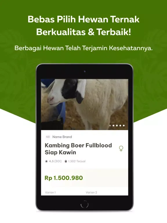 Ảnh chụp màn hình của Pasar Hewan iPad 
