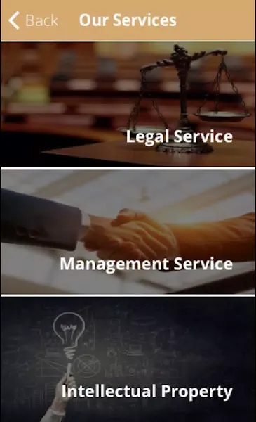 Tan & Zhou Consulting Ekran Görüntüleri