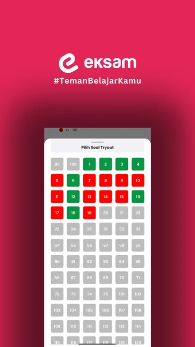 صور EKSAM - CPNS PPPK BUMN PPG
