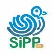 SIPP HSU