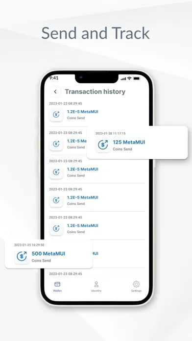 Скриншоты MetaMUI SSID