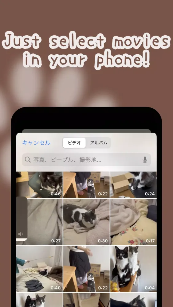 Скриншоты My Pet Melody