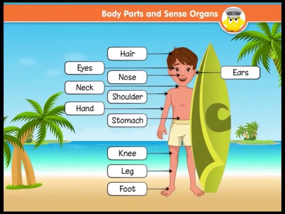 Look And Learn World Around Us–Level 1 iPad  스크린샷