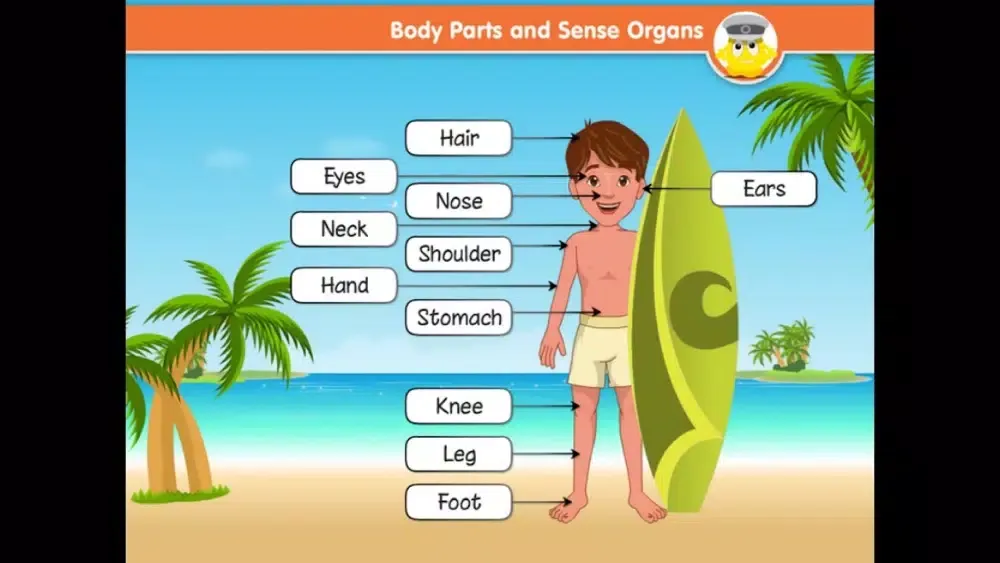 Look And Learn World Around Us–Level 1 스크린샷