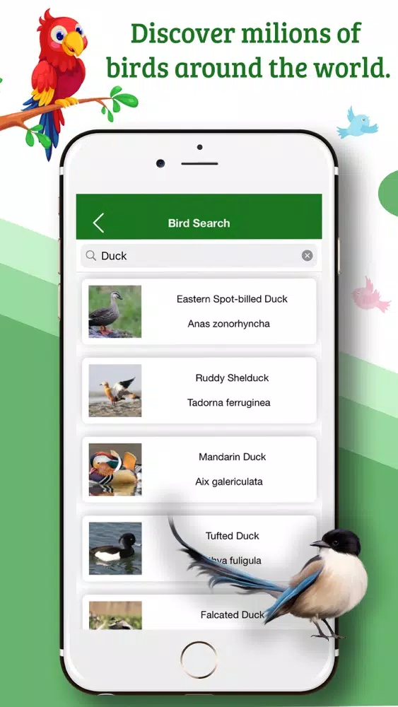Bird Identifier by Name スクリーンショット