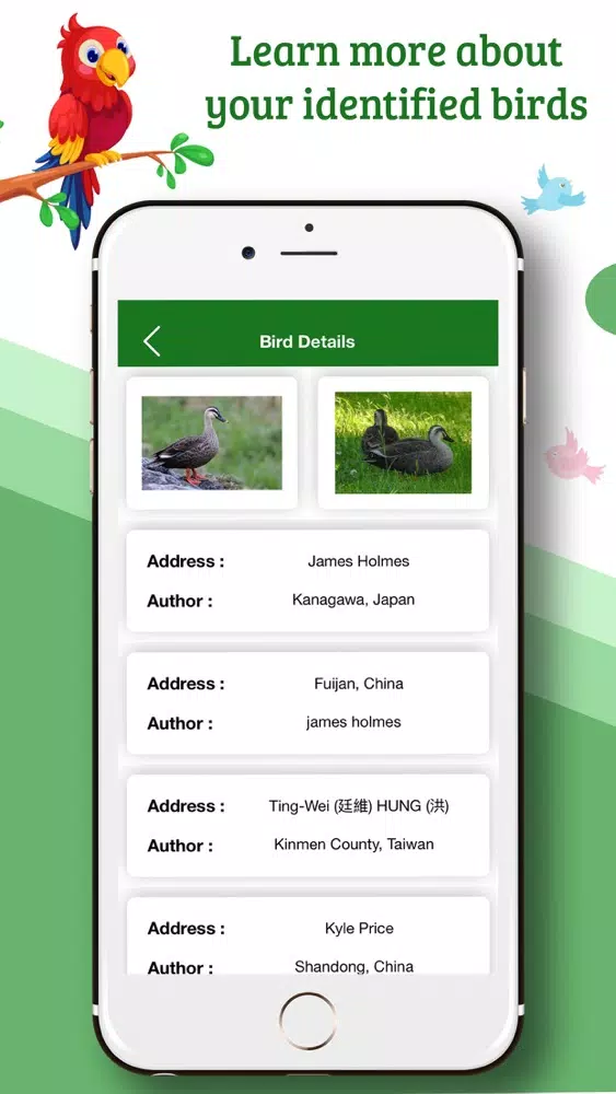 Bird Identifier by Name スクリーンショット