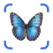 Bug Finder - Insect Identifier