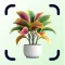 Plant Identifier & Disease ID