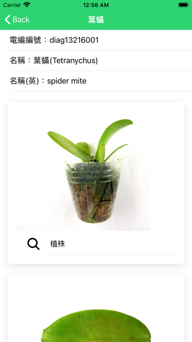 Screenshot di 農業害蟲診斷圖鑑