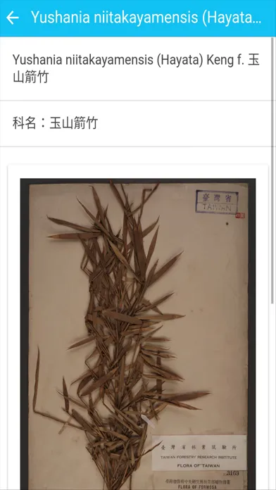 صور 台灣植物標本資料庫