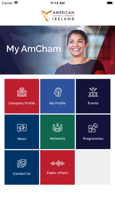 Ảnh chụp màn hình của AmCham Ireland
