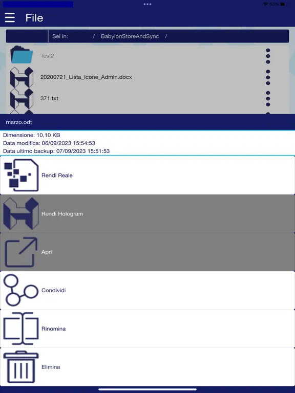 تصاویر Babylon Store&Sync iPad 