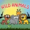 Wild Animals Savanna Sounds