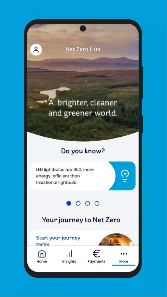 Electric Ireland স্ক্রিনশট