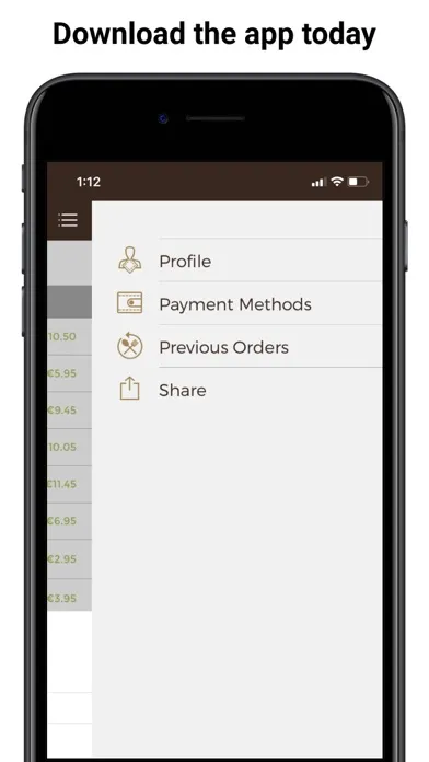 Chrysanthemum Santry Screenshots