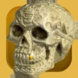 Free the Fleadh Skull Free the Fleadh Skull